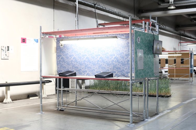 The Bear & Co operatorās station installation: a scaffold-style frame with illuminated workspace and two terminals for participant engagement.